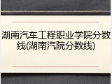 湖南汽车工程职业学院分数线(湖南汽院分数线)