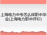 上海电力中专怎么样职中毕业(上海电力职中评价)