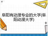 阜阳有动漫专业的大学(阜阳动漫大学)