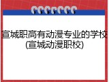 宣城职高有动漫专业的学校(宣城动漫职校)