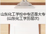 山东化工学校中专还是大专(山东化工学历层次)