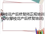 攀枝花产后修复师正规培训机构(攀枝花产后修复培训)