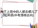 考不上高中的人都去哪儿了呢英语(中考落榜去向)