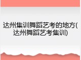 达州集训舞蹈艺考的地方(达州舞蹈艺考集训)