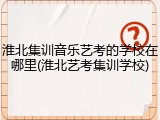 淮北集训音乐艺考的学校在哪里(淮北艺考集训学校)