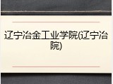 辽宁冶金工业学院(辽宁冶院)