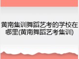 黄南集训舞蹈艺考的学校在哪里(黄南舞蹈艺考集训)
