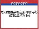 芜湖南陵县哪里有单招学校(南陵单招学校)