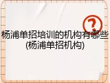 杨浦单招培训的机构有哪些(杨浦单招机构)