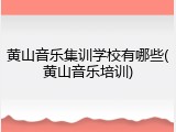 黄山音乐集训学校有哪些(黄山音乐培训)