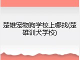 楚雄宠物狗学校上哪找(楚雄训犬学校)