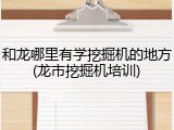 和龙哪里有学挖掘机的地方(龙市挖掘机培训)