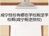 咸宁技校有哪些学校叛逆学校啊(咸宁叛逆技校)