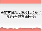 合肥万博科技学校技校校长是谁(合肥万博校长)