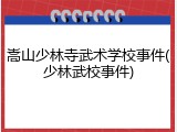 嵩山少林寺武术学校事件(少林武校事件)
