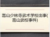 嵩山少林寺武术学校出事(嵩山武校事件)
