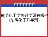 东明化工学校升学班有哪些(东明化工升学班)