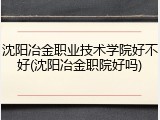 沈阳冶金职业技术学院好不好(沈阳冶金职院好吗)