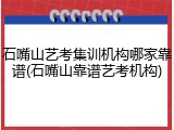 石嘴山艺考集训机构哪家靠谱(石嘴山靠谱艺考机构)