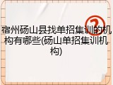宿州砀山县找单招集训的机构有哪些(砀山单招集训机构)
