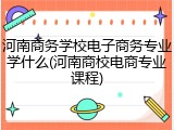 河南商务学校电子商务专业学什么(河南商校电商专业课程)