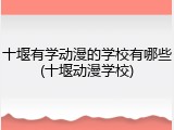 十堰有学动漫的学校有哪些(十堰动漫学校)