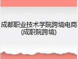 成都职业技术学院跨境电商(成职院跨境)