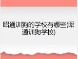 昭通训狗的学校有哪些(昭通训狗学校)