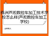 株洲芦淞数控车加工技术学校怎么样(芦淞数控车加工学校)
