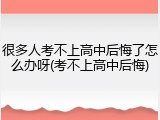 很多人考不上高中后悔了怎么办呀(考不上高中后悔)