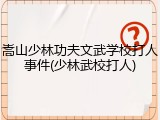 嵩山少林功夫文武学校打人事件(少林武校打人)