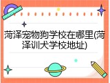 菏泽宠物狗学校在哪里(菏泽训犬学校地址)