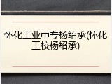 怀化工业中专杨绍承(怀化工校杨绍承)