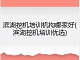 滨湖挖机培训机构哪家好(滨湖挖机培训优选)