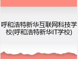 呼和浩特新华互联网科技学校(呼和浩特新华IT学校)