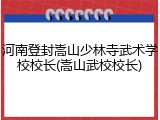 河南登封嵩山少林寺武术学校校长(嵩山武校校长)