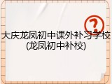 大庆龙凤初中课外补习学校(龙凤初中补校)