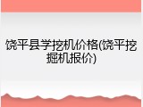 饶平县学挖机价格(饶平挖掘机报价)