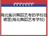 海北集训舞蹈艺考的学校在哪里(海北舞蹈艺考学校)