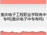 重庆电子工程职业学院有中专吗(重庆电子中专有吗)