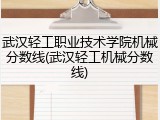 武汉轻工职业技术学院机械分数线(武汉轻工机械分数线)