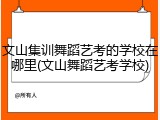 文山集训舞蹈艺考的学校在哪里(文山舞蹈艺考学校)