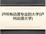 泸州有动漫专业的大学(泸州动漫大学)