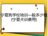 宁夏狗学校培训一般多少钱(宁夏犬训费用)