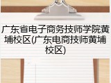 广东省电子商务技师学院黄埔校区(广东电商技师黄埔校区)