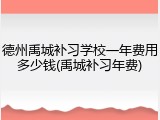 德州禹城补习学校一年费用多少钱(禹城补习年费)