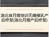 湖北省月嫂培训无痛催乳产后修复(湖北月嫂产后修复)