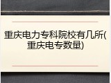 重庆电力专科院校有几所(重庆电专数量)