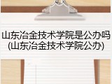 山东冶金技术学院是公办吗(山东冶金技术学院公办)