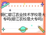 铜仁碧江农业技术学校是大专吗(碧江农校是大专吗)